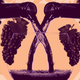Illustration: Elena Scotti/Gizmodo/GMG, photos via Shutterstock